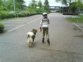 filou 21 (8)